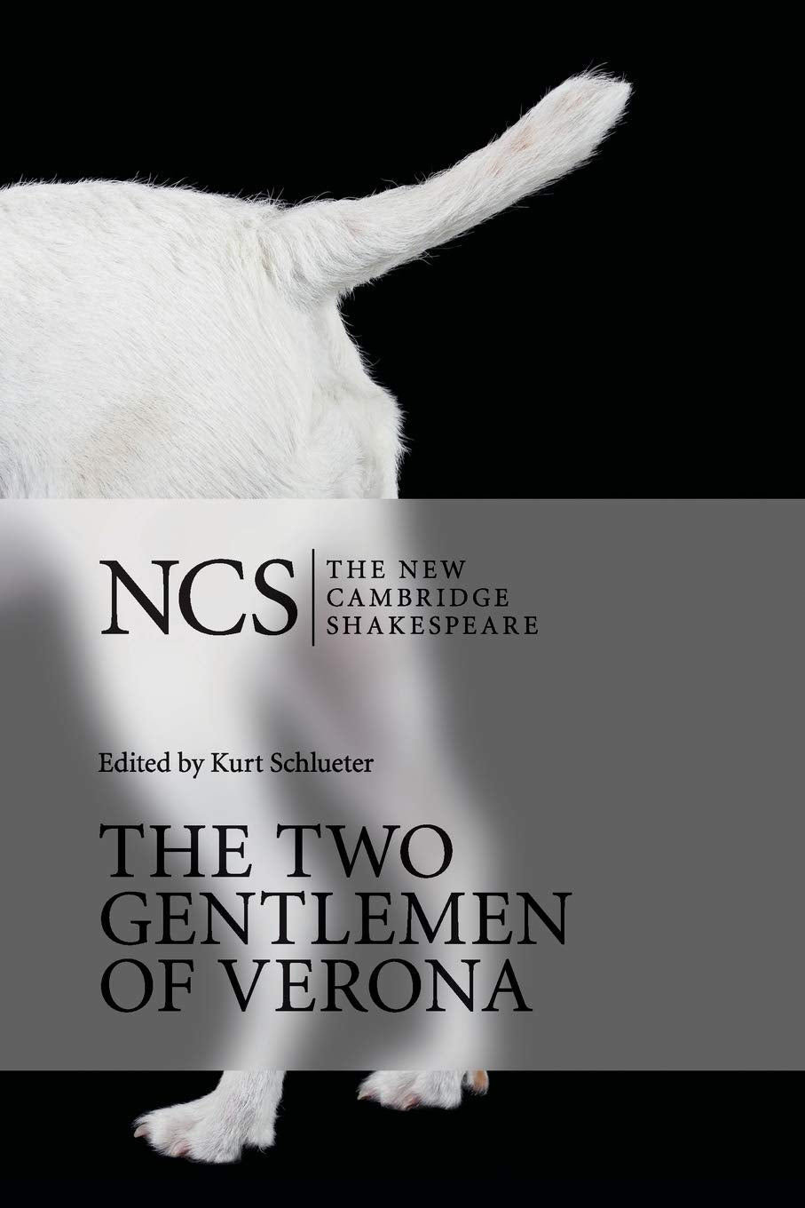 The Two Gentlemen of Verona (The New Cambridge Shakespeare) - Retail Maharaj