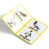 Birds – Early Learning Board Book with Large Font: Brightly Illustrated Bird Recognition Book for Kids | Big Board Books Series for Babies, Toddlers & Preschoolers | Learn About Sparrows, Parrots, Peacocks & More with Bold Text | Ages 0–5 Years - Retail Maharaj