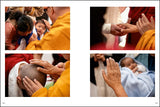 Dalai Lama: Photographs by Manuel Bauer. 1990–2024 - Retail Maharaj