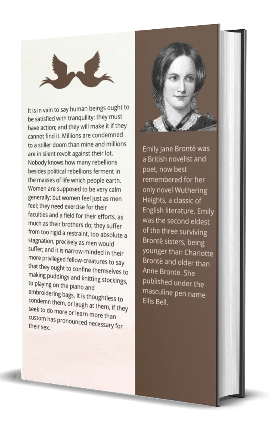 Jane Eyre ( Vintage Collector's Edition) - Retail Maharaj