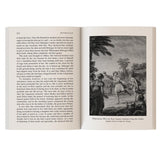 Mythology : Timeless Tales of Gods and Heroes - Retail Maharaj