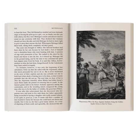 Mythology : Timeless Tales of Gods and Heroes - Retail Maharaj