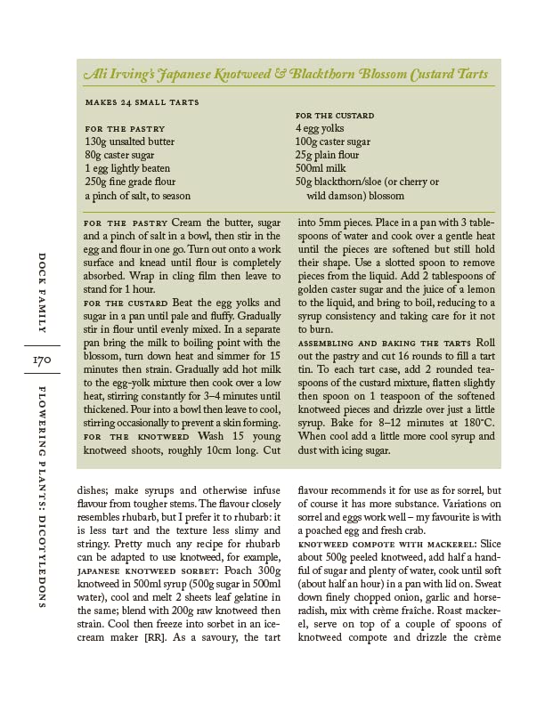 The Forager Handbook: A Guide to the Edible Plants of Britain - Retail Maharaj