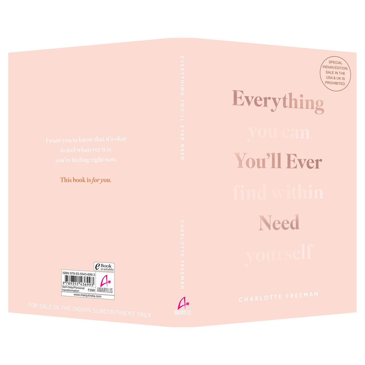 Everything You’ll Ever Need: You Can Find Within Yourself (English) - Retail Maharaj