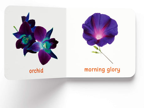 My First Book of Flowers | First Flower Board Book for Babies, Toddlers & Preschoolers | Learn About Beautiful Flowers with Bright, Colorful Pictures | Early Learning Book for Kids Ages 0-3 Years - Retail Maharaj