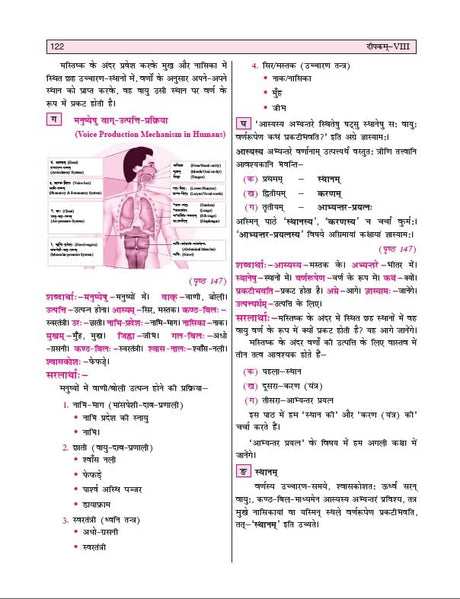 Golden Sanskrit Study Material Based on NEW NCERT Deepakam For Class 8 | For CBSE 2026 Exams | Summary | Practice Exercises | Solved NCERT Textual Questions | Sample Question Papers | Exam Oriented Questions | Objective Type Question Bank | MCQs - Retail Maharaj