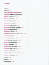 India 20: Conversations With Contemporary Artists - Retail Maharaj