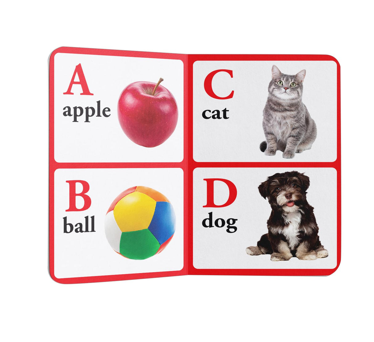 ABC – Early Learning Board Book with Large Font: Brightly Illustrated Alphabet Book for Kids | Big Board Books Series for Babies, Toddlers & Preschoolers | Learn ABC with Bold Letters & Clear Pictures | Ages 0–5 Years - Retail Maharaj