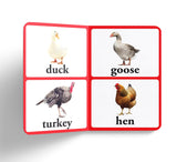 Birds – Early Learning Board Book with Large Font: Brightly Illustrated Bird Recognition Book for Kids | Big Board Books Series for Babies, Toddlers & Preschoolers | Learn About Sparrows, Parrots, Peacocks & More with Bold Text | Ages 0–5 Years - Retail Maharaj