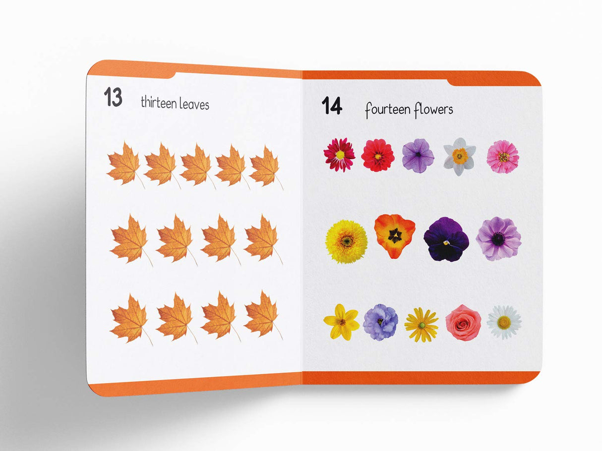 My First Padded Book of Numbers: Early Learning Board Book for Kids | Learn to Count with Bright and Engaging Pictures | Durable Padded Board Book for Babies, Toddlers & Preschoolers | Ages 0–5 Years - Retail Maharaj
