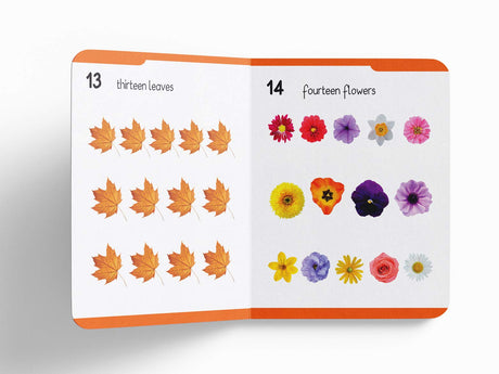 My First Padded Book of Numbers: Early Learning Board Book for Kids | Learn to Count with Bright and Engaging Pictures | Durable Padded Board Book for Babies, Toddlers & Preschoolers | Ages 0–5 Years - Retail Maharaj