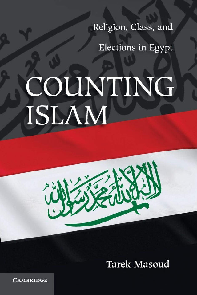 Counting Islam: Religion, Class, and Elections in Egypt (Problems of International Politics) - Retail Maharaj