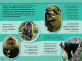 INDIA’S MOST ENDANGERED ANIMALS : Wild About India - Engaging Book for Kids (Ages 5-15) - Fun Facts, Trivia Questions and Answers to Teach Your Children about the Animal Kingdom - Retail Maharaj