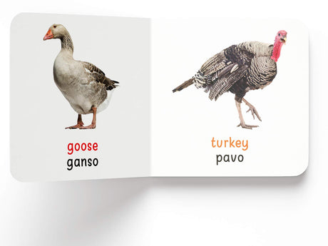 My First English - Español Learning Library (Mi Primea English - Español Learning Library) : Boxset of 10 English - Spanish Board Books - Retail Maharaj