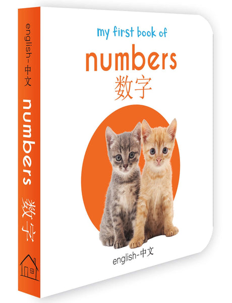 My First English-Chinese Learning Library : Bilingual Boxset of 10 Picture Board Books for Kids - Retail Maharaj