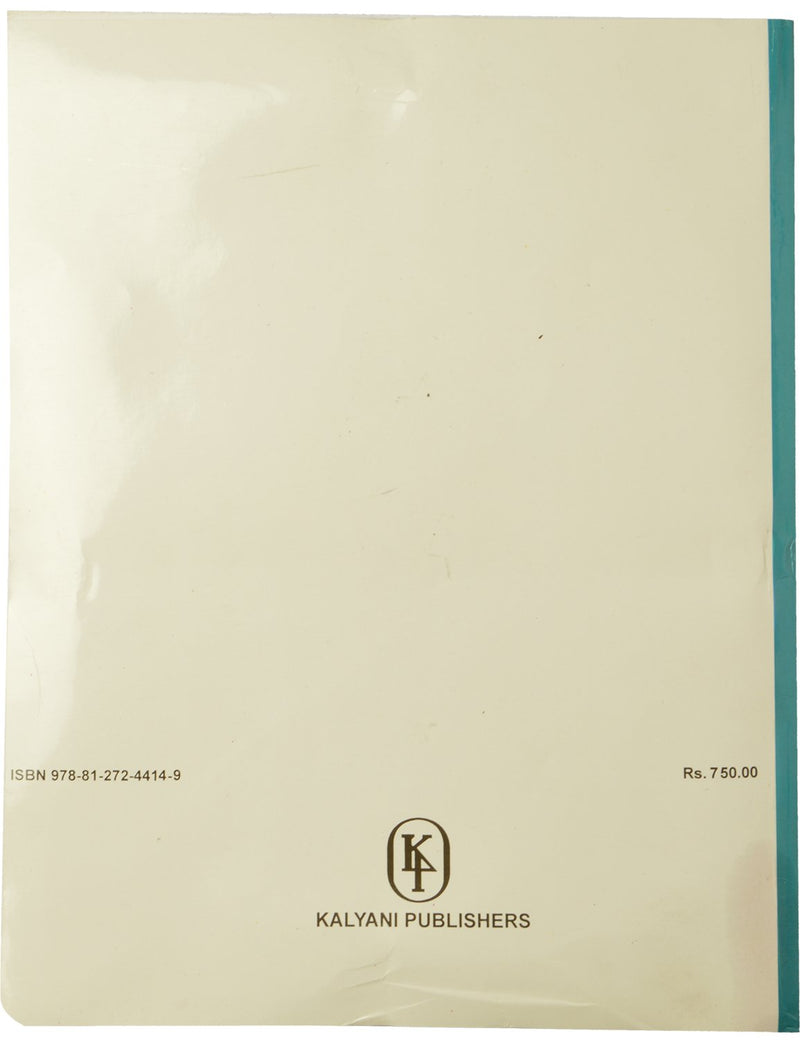 Fashion Illustration