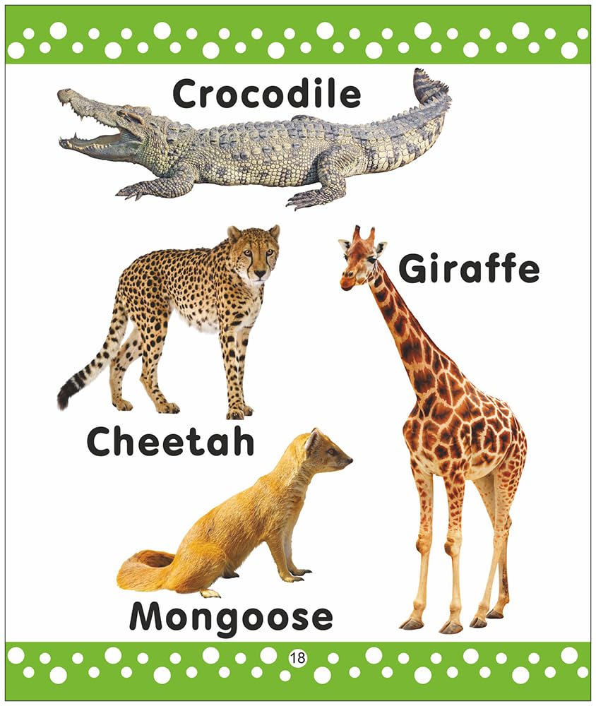 My Preschool Board Books (Gift Pack Of 6 Books): Boxset For Kids | Learning Gift Set | Early Learning Books For Babies, Toddlers & Preschool Kids | Includes Alphabet, Numbers, First Words & Much More | age 2+ | {Hardbound} | Young Learner Publications - Retail Maharaj