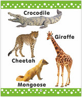 My Preschool Board Books (Gift Pack Of 6 Books): Boxset For Kids | Learning Gift Set | Early Learning Books For Babies, Toddlers & Preschool Kids | Includes Alphabet, Numbers, First Words & Much More | age 2+ | {Hardbound} | Young Learner Publications - Retail Maharaj