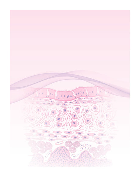 Practical Histology Workbook 3Ed (Pb 2025) - Retail Maharaj