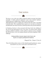 The Vedanta Tarot: Readings from the Ancient Indian Scriptures | Spiritual Journey with the Mystical Vedanta Tarot | Mystical Vedanta Tarot Deck & Guidebook – Include 22 Cards with 112 Book Pages - Retail Maharaj