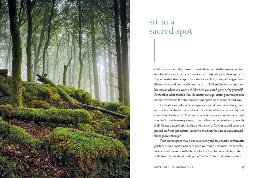 The Healing Magic of Forest Bathing: Finding Calm, Creativity, and Connection in the Natural World - Retail Maharaj