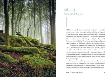 The Healing Magic of Forest Bathing: Finding Calm, Creativity, and Connection in the Natural World - Retail Maharaj