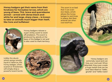 INDIA’S STINKIEST (AND SMELLIEST) ANIMALS : Wild About India - Engaging Book for Kids (Ages 5-15) - Fun Facts, Trivia Questions and Answers to Teach Your Children about the Animal Kingdom - Retail Maharaj