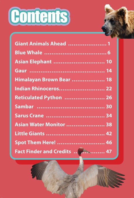 INDIA’S BIGGEST ANIMALS : Wild About India - Engaging Book for Kids (Ages 5-15) - Fun Facts, Trivia Questions and Answers to Teach Your Children about the Animal Kingdom - Retail Maharaj