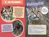INDIA’S COOLEST CATS : Wild About India - Engaging Book for Kids (Ages 5-15) - Fun Facts, Trivia Questions and Answers to Teach Your Children about the Animal Kingdom - Retail Maharaj