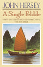 A Single Pebble - Retail Maharaj
