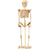 WOL DISCOVER THE HUMAN BODY - TIN BOX KIT, NPP - Retail Maharaj