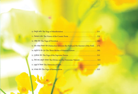 Bhagavad Gita - Saying it the Simple Way - Retail Maharaj