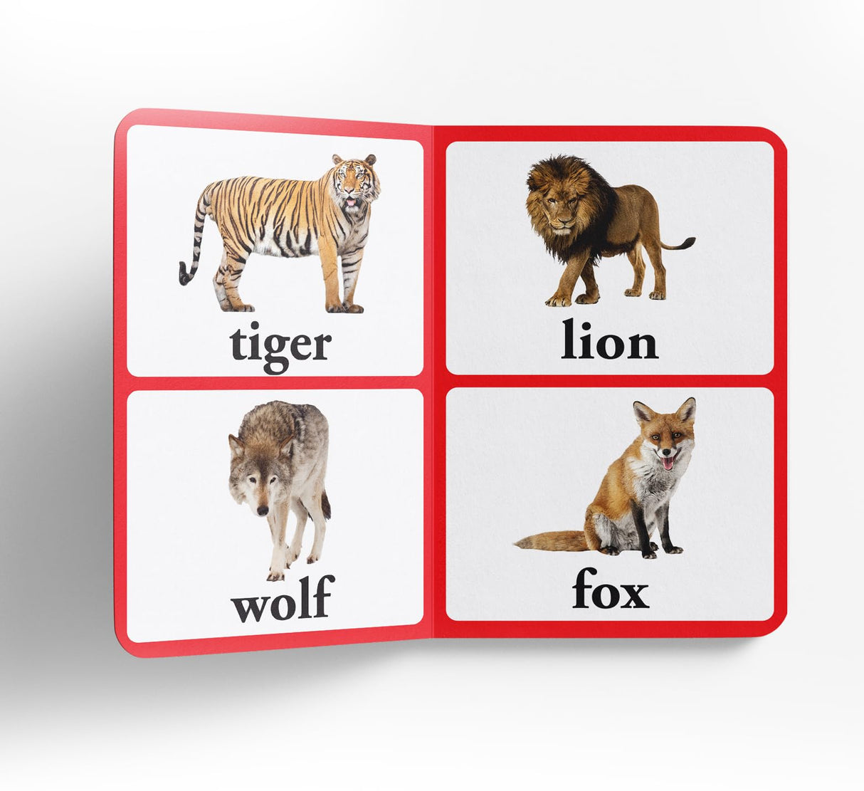 Wild Animals – Early Learning Board Book with Large Font: Brightly Illustrated Wildlife Book for Kids | Big Board Books Series for Babies, Toddlers & Preschoolers | Learn About Lions, Tigers, Elephants & More with Bold Text & Clear Pictures | Ages 0–5 Yea - Retail Maharaj