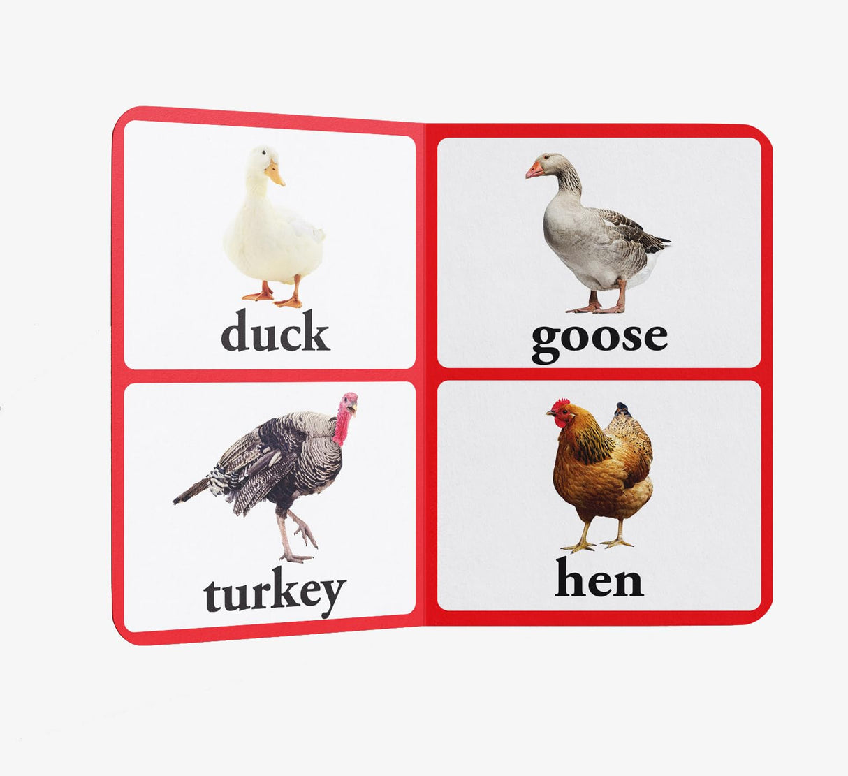 Early Learning Library Pack 2 – Box Set of 5 Books: Big Board Books Series with Large Font for Kids | Includes Vegetables, Birds, Wild Animals, Farm Animals & Pets, Fruits | Bold Text, Bright Pictures & Durable Board Pages | Ages 0–5 Years - Retail Maharaj