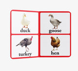 Early Learning Library Pack 2 – Box Set of 5 Books: Big Board Books Series with Large Font for Kids | Includes Vegetables, Birds, Wild Animals, Farm Animals & Pets, Fruits | Bold Text, Bright Pictures & Durable Board Pages | Ages 0–5 Years - Retail Maharaj