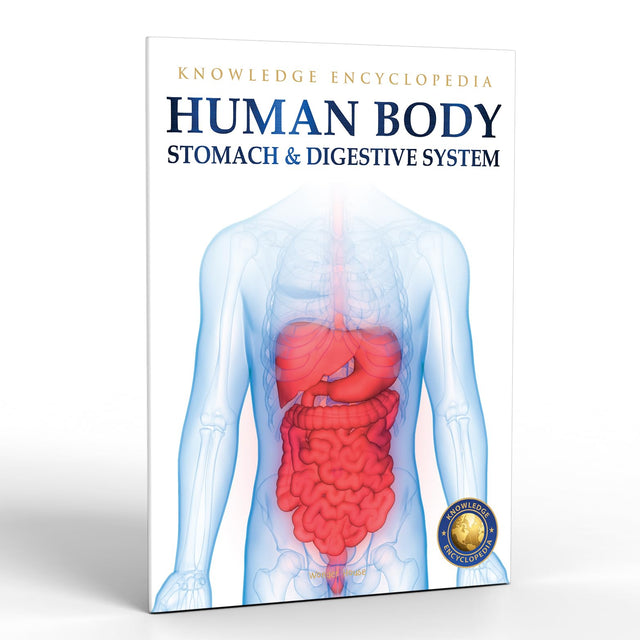 Human Body - Stomach And Digestive System: Knowledge Encyclopedia For Children - Retail Maharaj