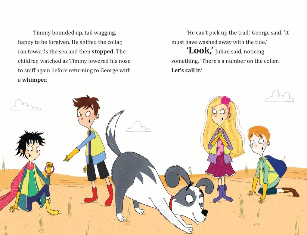 FAMOUS FIVE COLOUR SHORT STORIES: FIVE AND THE RUNAWAY DOG - Retail Maharaj