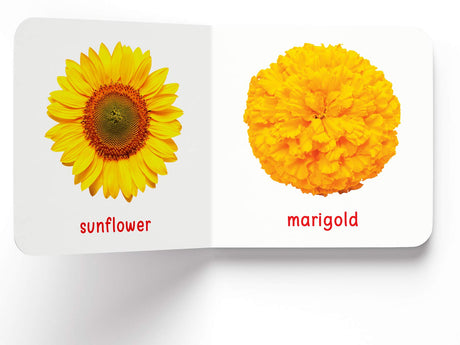 My First Book of Flowers | First Flower Board Book for Babies, Toddlers & Preschoolers | Learn About Beautiful Flowers with Bright, Colorful Pictures | Early Learning Book for Kids Ages 0-3 Years - Retail Maharaj