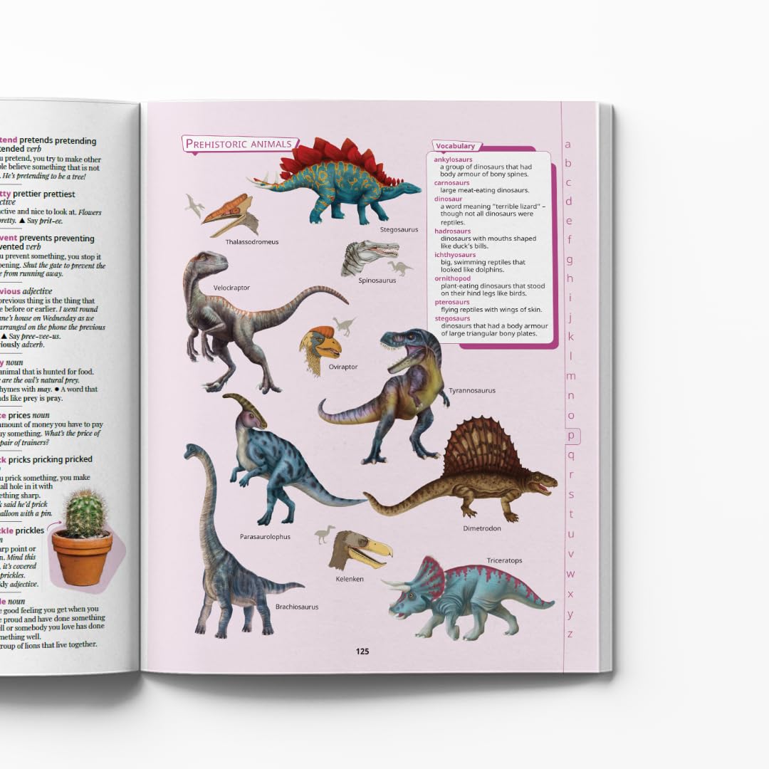 Chambers Junior Illustrated Dictionary - Retail Maharaj