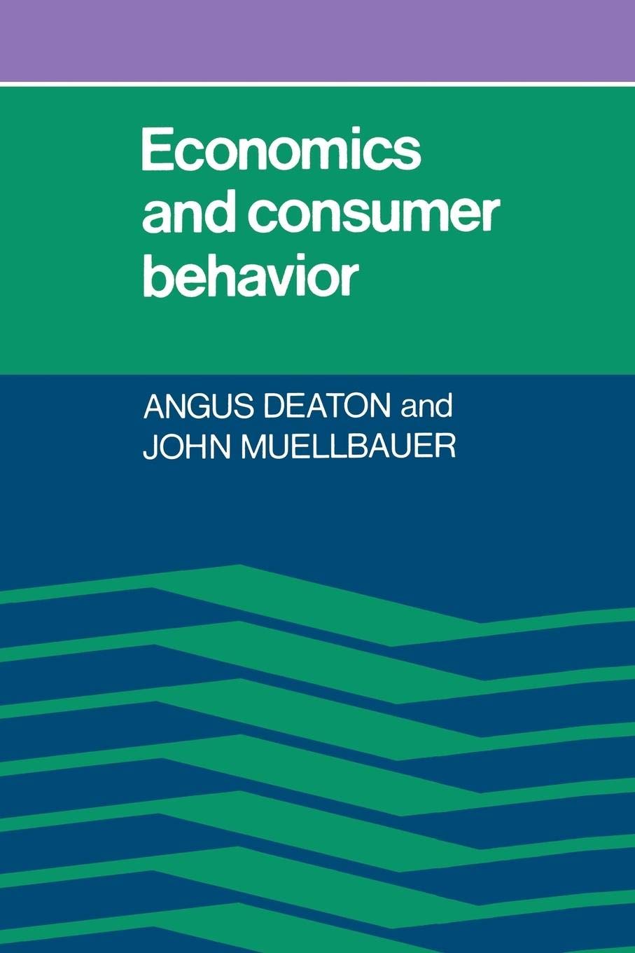 Economics and Consumer Behavior - Retail Maharaj