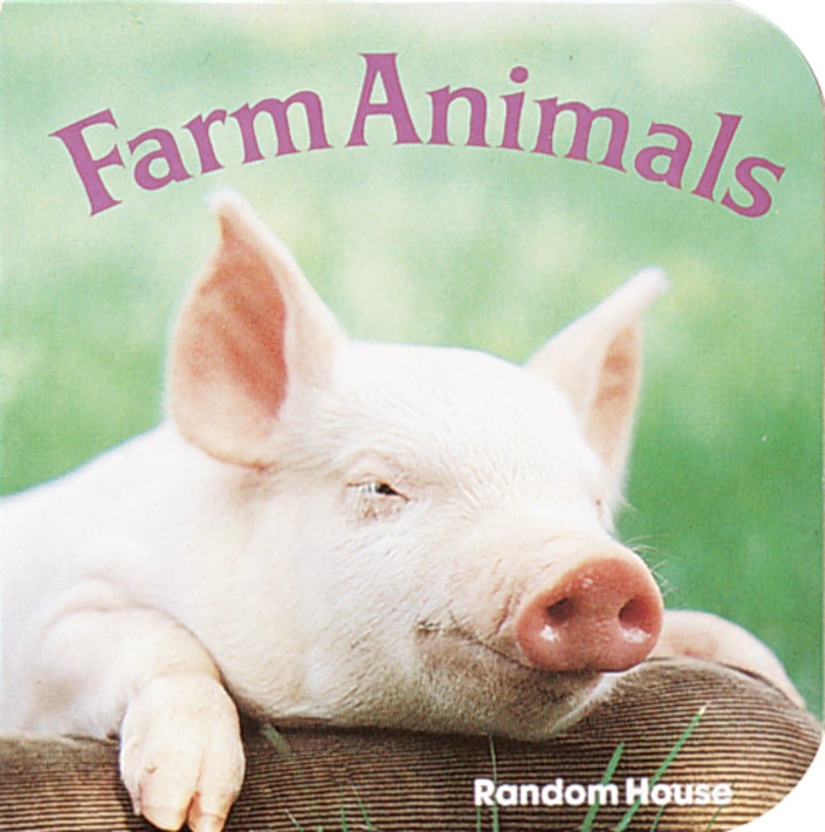 Farm Animals - Retail Maharaj