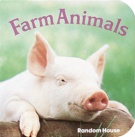 Farm Animals - Retail Maharaj