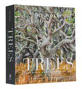 Trees: Between Earth and Heaven - Retail Maharaj