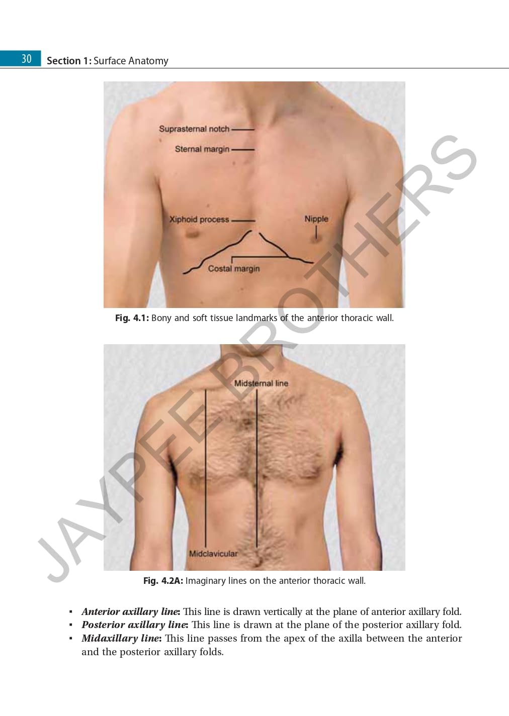 Surface and Radiological Anatomy with a Clinical Perspective - Retail Maharaj