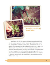 The Allotment Almanac: a month-by-month guide to getting the best from your allotment from much-loved Radio 2 gardener Terry Walton - Retail Maharaj
