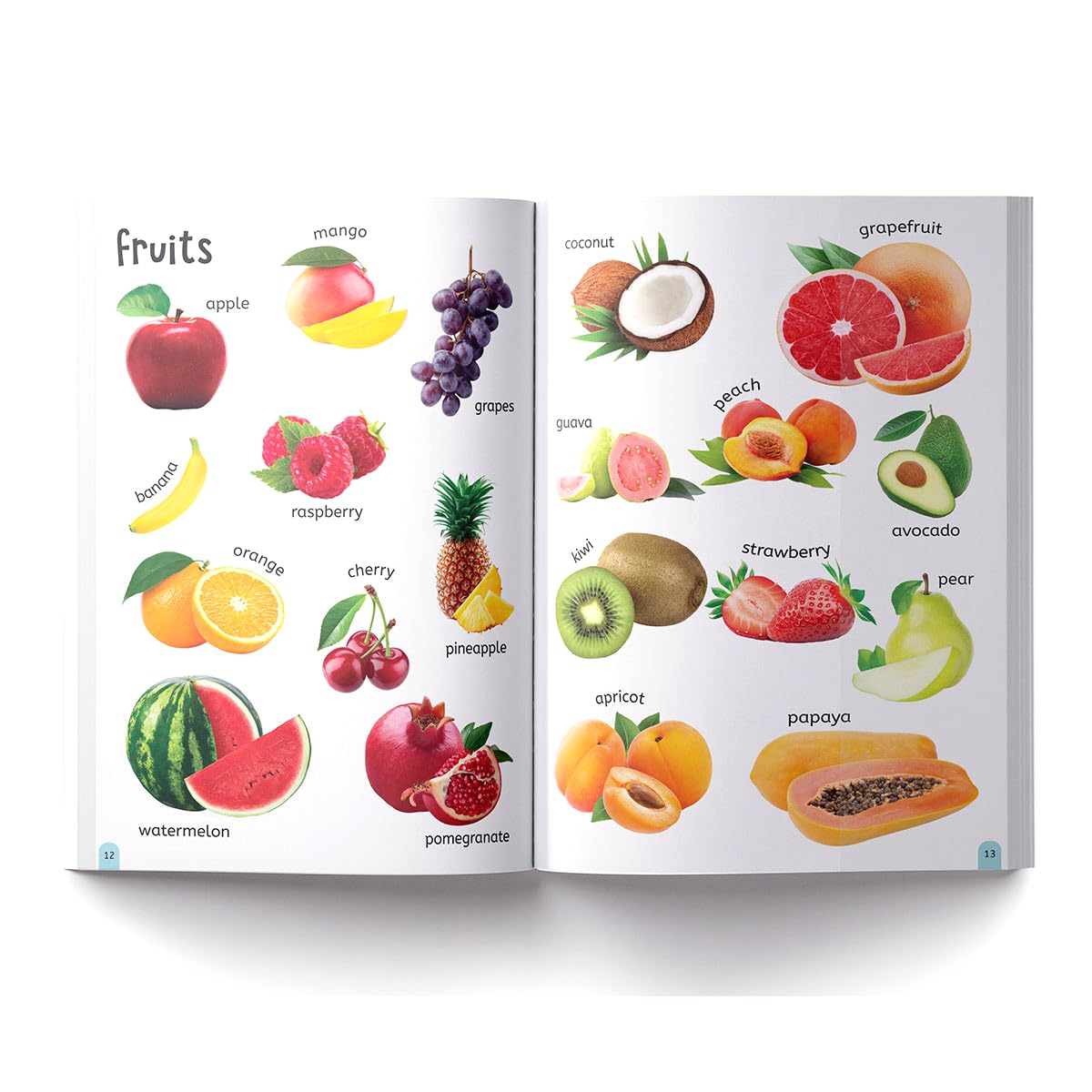 My First 500 Words: Early Learning Picture Book to learn Alphabet, Numbers, Shapes and Colours, Transport, Birds and Animals, Professions, Opposite Words, Action Words, Parts of the body and Objects Around Us. - Retail Maharaj