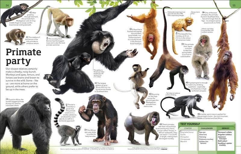 General Knowledge Genius!: Discover Science, History, Geography, Animals, Space, Inventions & More | Packed with 1,000 Amazing Facts and Trivia - Retail Maharaj