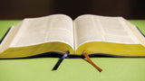 NIV, The Grace and Truth Study Bible, Leathersoft, Navy, Red Letter, Comfort Print - Retail Maharaj