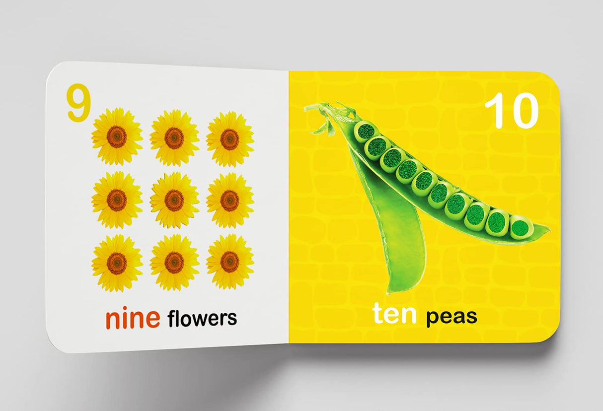 My First Book of Touch And Feel - Numbers : Touch And Feel Board Book For CHildren - Retail Maharaj