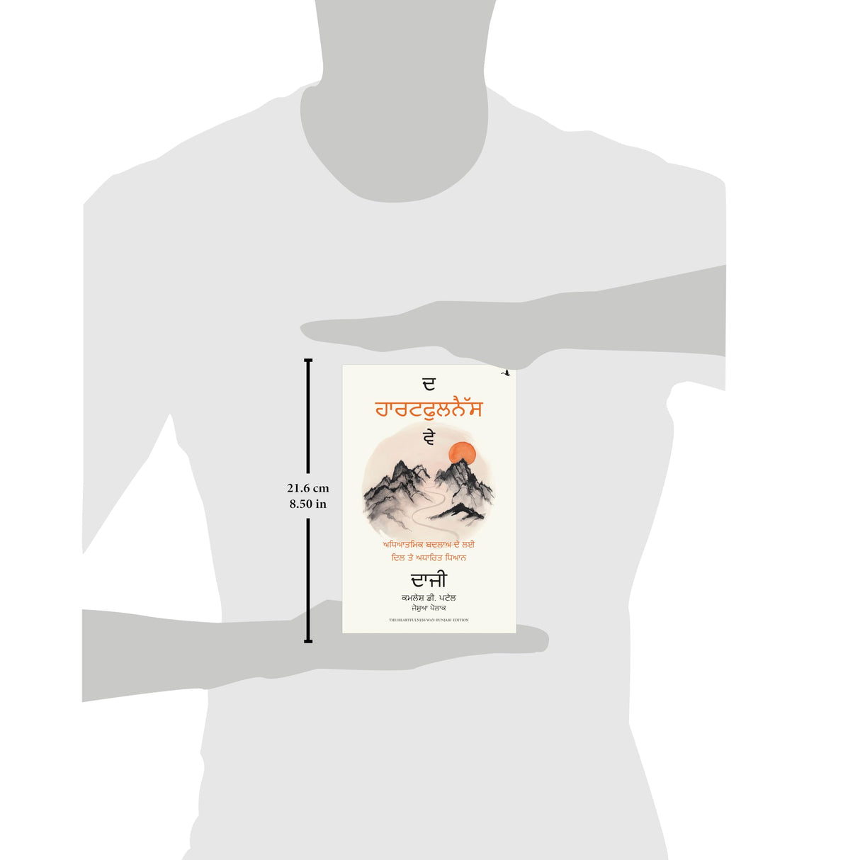 The Heartfulness Way: Heart-Based Meditations For Spiritual Transformation (Punjabi) - Retail Maharaj
